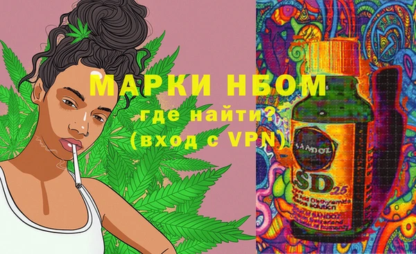 бошки Аркадак