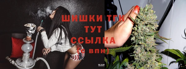 спиды Арсеньев